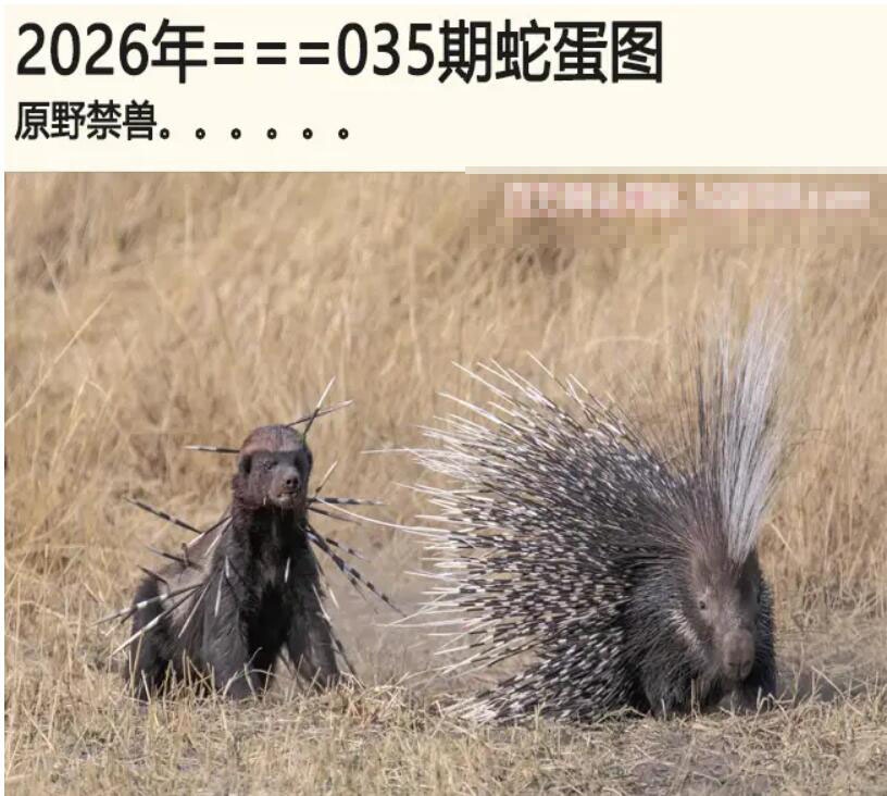 035期另版蛇蛋图[图]